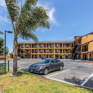 Quality Inn Salinas